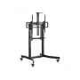 Wózek mobilny z napędem elektrycznym Equip 55-100 cali, 2,54 m (100 cali), 200 x 200 mm, 800 x 600 mm, -10 - 5°, aluminium, plastik, stal nierdzewna, czarny