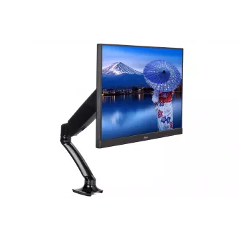 iiyama DS3001C-B1 uchwyt / stojak do monitora 68,6 cm (27 cali) Biurkowy Czarny