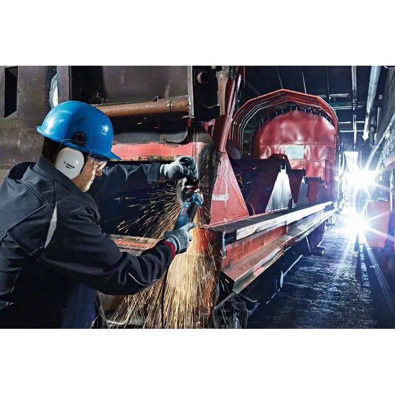 Bosch GWS 19-125 CIE Professional szlifierka kątowa 12,5 cm 11500 obr./min 1900 W 2,4 kg
