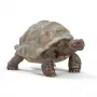 Figurka, Schleich, WILD LIFE Żółw olbrzymi