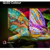 Hisense 43E77Q PRO 109.2 cm (43 cale) 4K Ultra HD Smart TV Wi-Fi Czarny
