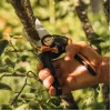 Sekator Fiskars X-Series L P961 — nożycowy, stalowe ostrze, średnica cięcia 2,6 cm, długość 222 mm