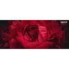Xerox Genuine ® VersaLink® C625 Color Multifunction Printer magenta High capacity kaseta z tonerem (16000 stron) - 006R04638