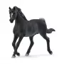 schleich HORSE CLUB Ogier Arabski, 5 lat, Konie, Czarny, Szary, Biały, Plastik