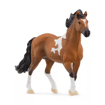 schleich HORSE CLUB Ogier Mangalarga Marchador, 5 lat, Konie, Czarny, Brązowy, Biały, Plastik