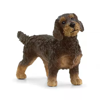 schleich FARM WORLD Jamnik szorstkowłosy