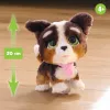 FurReal Walkalots Bernedoodle Puppy, Chłopiec/Dziewczynka, 4 lat(a), Dźwiękowa