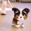 FurReal Walkalots Bernedoodle Puppy, Chłopiec/Dziewczynka, 4 lat(a), Dźwiękowa