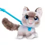 FurReal Wag-a-lots Kitty, Chłopiec/Dziewczynka, 4 lat(a), Dźwiękowe