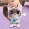 FurReal Wag-a-lots Kitty, Chłopiec/Dziewczynka, 4 lat(a), Dźwiękowe