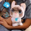 FurReal Wag-a-lots Kitty, Chłopiec/Dziewczynka, 4 lat(a), Dźwiękowe