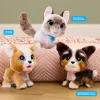 FurReal Wag-a-lots Kitty, Chłopiec/Dziewczynka, 4 lat(a), Dźwiękowe