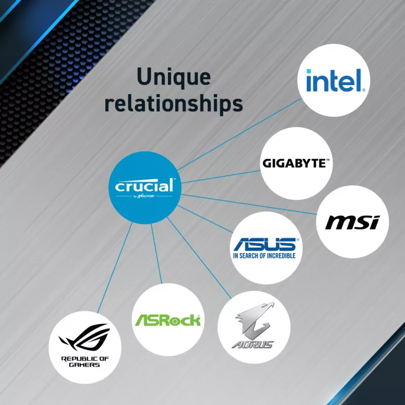 MICRON / CRUCIAL Memory - Crucial Pro - DDR5-5600 UDIM - Zestaw 48GB (24GBx2)