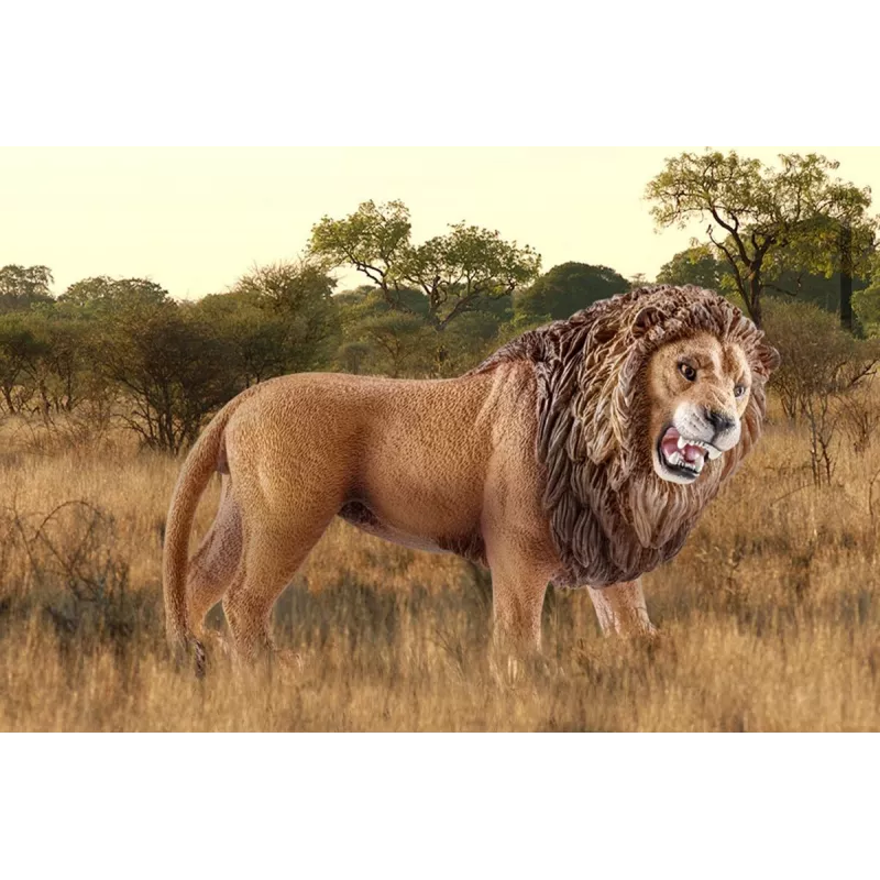 Schleich WILD LIFE Lew ryczący Wielokolorowy Plastik 3+ lata