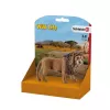 Schleich WILD LIFE Lew ryczący Wielokolorowy Plastik 3+ lata