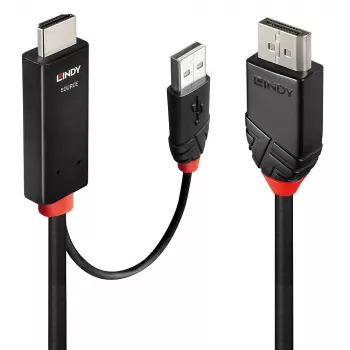 Lindy 1m HDMI to DisplayPort kabel HDMI USB Type-A DisplayPort