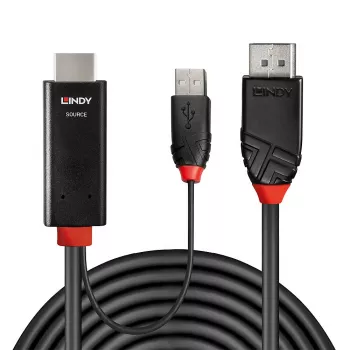 Lindy 1m HDMI to DisplayPort kabel HDMI USB Type-A DisplayPort