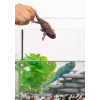 schleich WILD LIFE Kameleon, 3 lata, Las, Safari, Dzikie zwierzęta / zabawki przygodowe, Wielokolorowy, Plastik