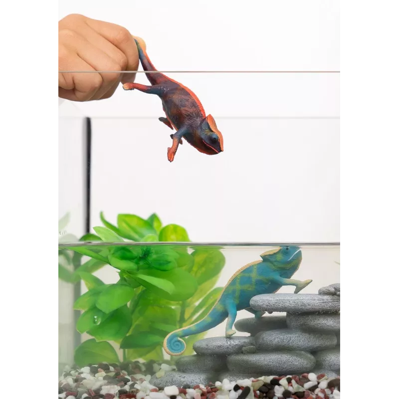 schleich WILD LIFE Kameleon, 3 lata, Las, Safari, Dzikie zwierzęta / zabawki przygodowe, Wielokolorowy, Plastik