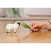 Schleich Owca Walijska Czarnonosa, 3 lata, Gospodarstwo, Zwierzęta gospodarskie / zabawki farmowe, Czarny, Biały, Plastik