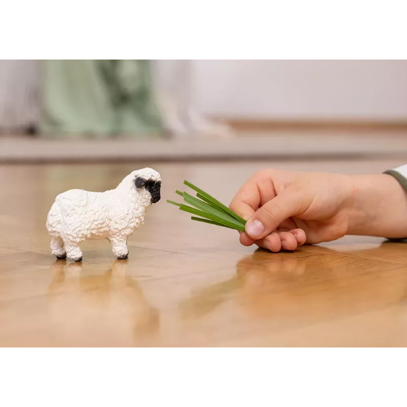 Schleich Owca Walijska Czarnonosa, 3 lata, Gospodarstwo, Zwierzęta gospodarskie / zabawki farmowe, Czarny, Biały, Plastik