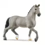 schleich HORSE CLUB Ogier Selle Français, 5 lat, Konie, Szary, Plastik
