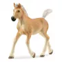 schleich HORSE CLUB Źrebię Haflinger, 5 lat, Konie, Beżowy, Brązowy, Plastik