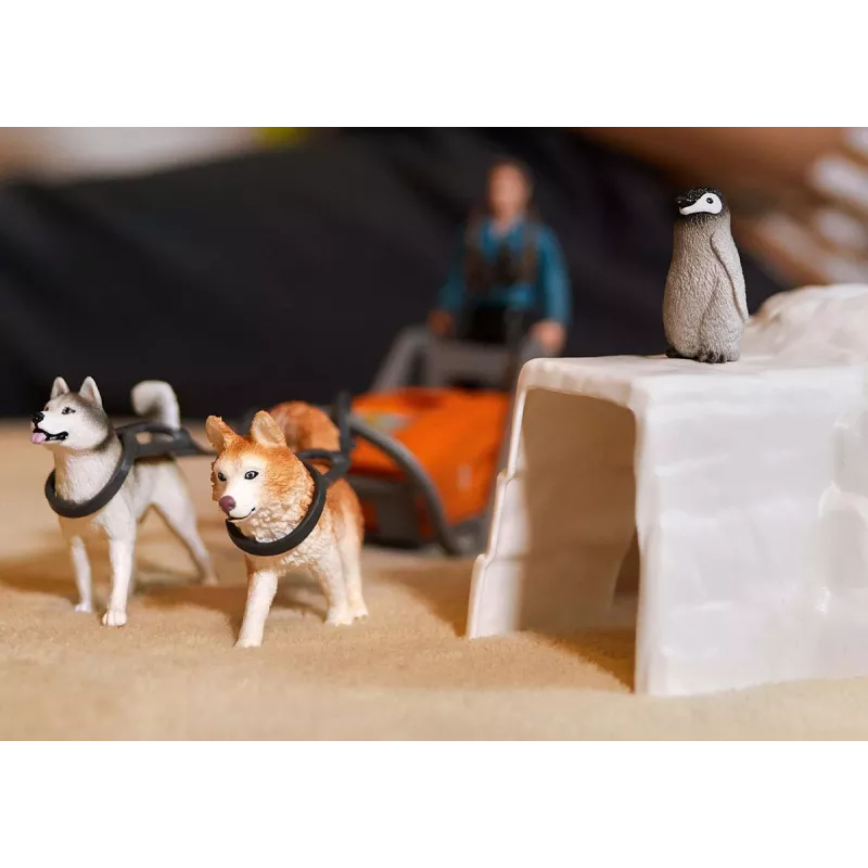 Zoo Schleich WILD LIFE Ekspedycja antarktyczna Wielokolorowy 42558