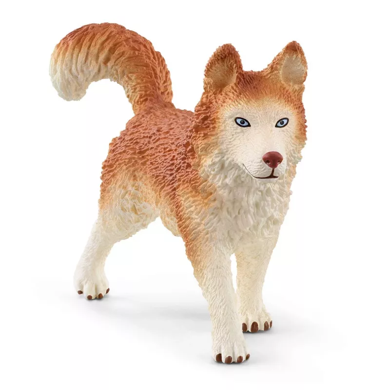 Zoo Schleich WILD LIFE Ekspedycja antarktyczna Wielokolorowy 42558