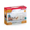 Zoo Schleich WILD LIFE Ekspedycja antarktyczna Wielokolorowy 42558