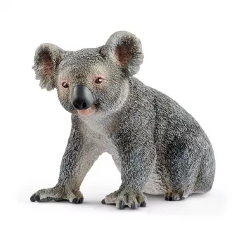 schleich WILD LIFE Koala, 3+ lat, Dżungla, Dzikie zwierzęta / zabawki przygodowe, Wielokolorowy, Plastik, 1 szt.