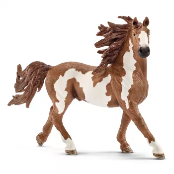 schleich FARM WORLD Ogier Pinto, 3 lata, Zwierzęta gospodarskie / zabawki farmy, Konie, Wielokolorowy, Plastik, 1 szt.