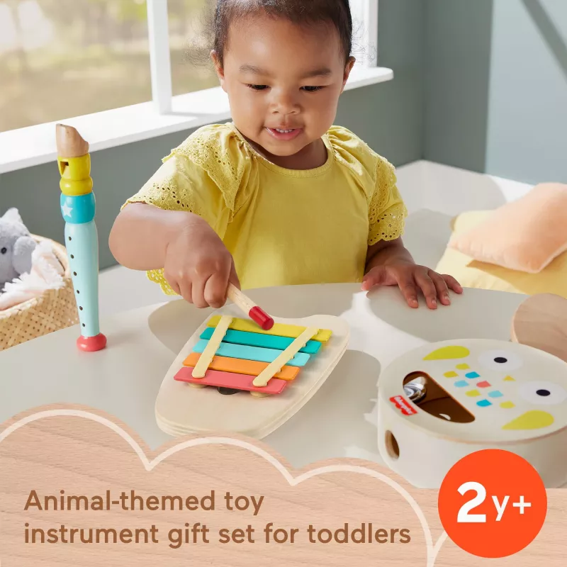 Mattel Music Gift Set with Wooden Instruments for Toddlers