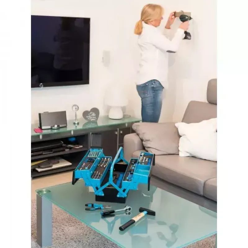 Zestaw narzędzi mechanicznych HAZET 190/79 79 narzędzi