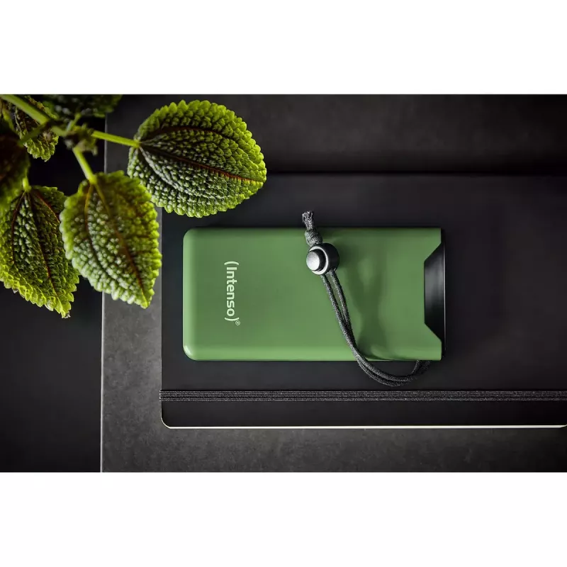 Przenośny powerbank Intenso 7332037 10000 mAh