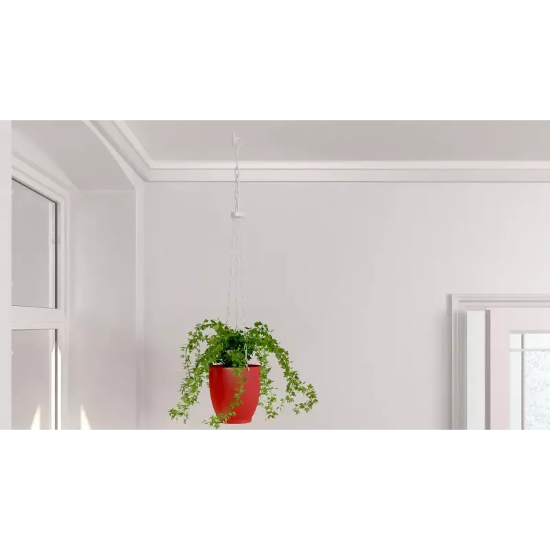 Zestaw haków śrubowych i kołków Fischer 564169 25 szt. Plastik 8 mm