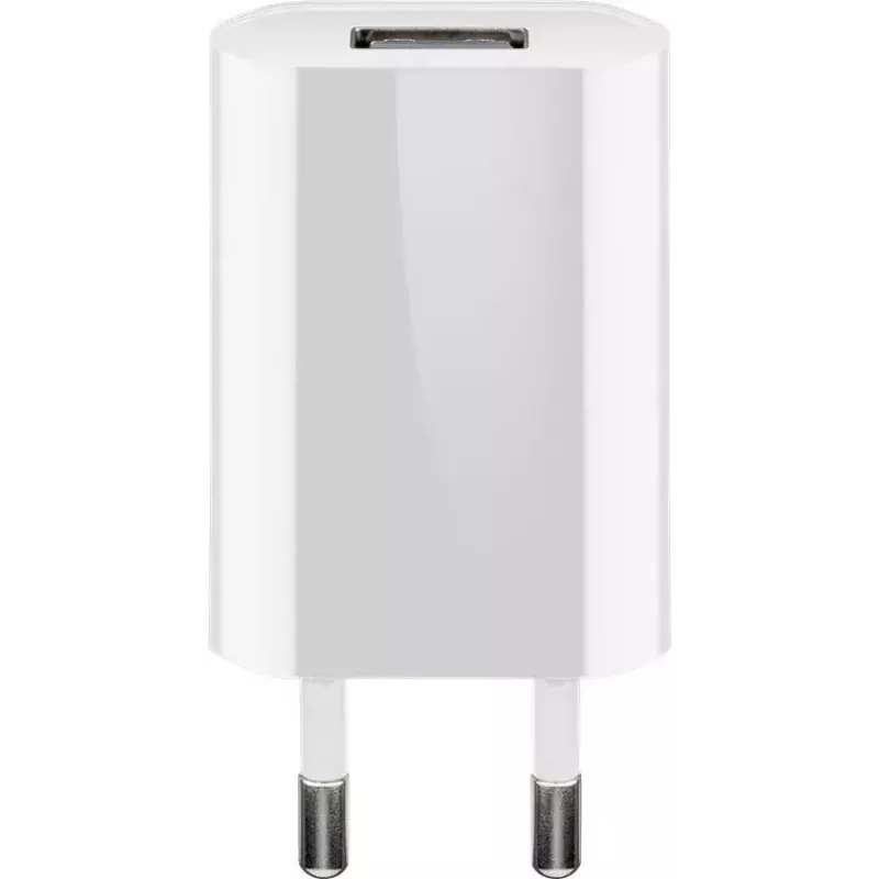 Ładowarka sieciowa Wentronic 45300