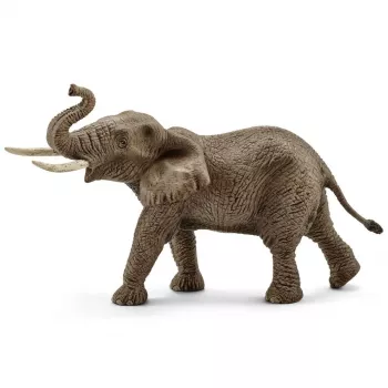 schleich WILD LIFE Słoń afrykański, samiec, 3 lata, Safari, Dzikie zwierzęta / zabawki przygodowe, Wielokolorowy, Plastik, 1 szt.