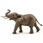 schleich WILD LIFE Słoń afrykański, samiec, 3 lata, Safari, Dzikie zwierzęta / zabawki przygodowe, Wielokolorowy, Plastik, 1 szt.