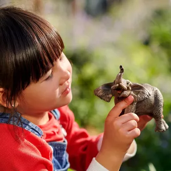 schleich WILD LIFE Słoń afrykański, samiec, 3 lata, Safari, Dzikie zwierzęta / zabawki przygodowe, Wielokolorowy, Plastik, 1 szt.