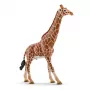 Figurka Schleich WILD LIFE Żyrafa samiec