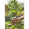 Nożyce do przycinania Gardena VeggieCut Czarno-zielone Ostrza ze stali nierdzewnej