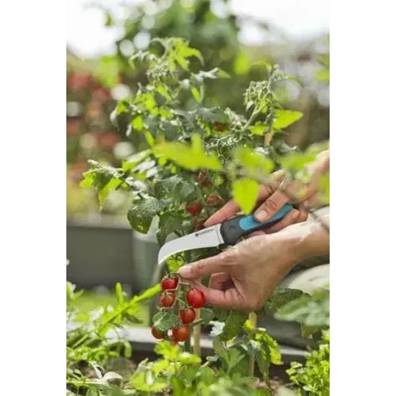 Nożyce do przycinania Gardena VeggieCut Czarno-zielone Ostrza ze stali nierdzewnej