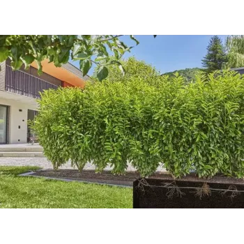 System nawadniania kropelkowego Gardena 13500-20