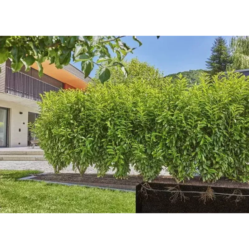 System nawadniania kropelkowego Gardena 13500-20