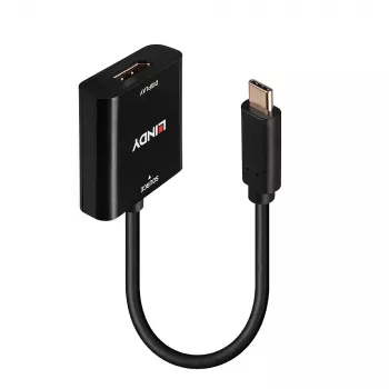 Lindy Konwerter USB typu C na DisplayPort 4K144, USB typu C, wyjście DisplayPort, 3840 x 2160 pikseli