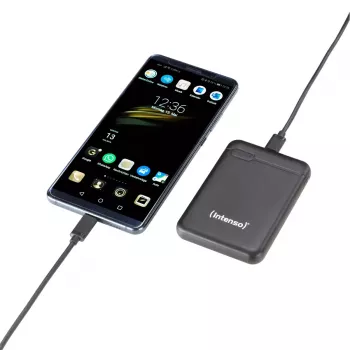 Intenso 7313520 Power Bank 5000 mAh