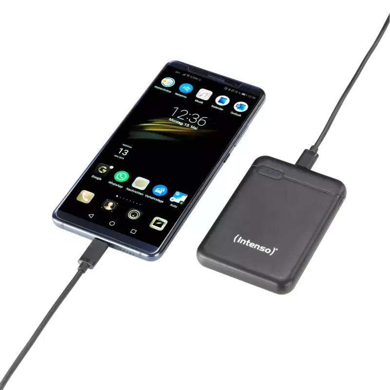 Intenso 7313520 Power Bank 5000 mAh