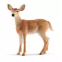 Figurka Schleich WILD LIFE Sarna białoogonowa