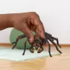 schleich Harry Potter Aragog, 6 lat(a), Magiczne stworzenia, Czarny, Brązowy, Biały, Plastik